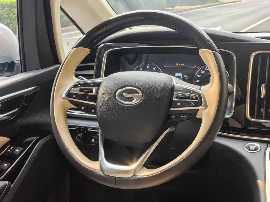 GAC Trumpchi M8 2021 Master Series 390T Four-Seat Yuzun Edition