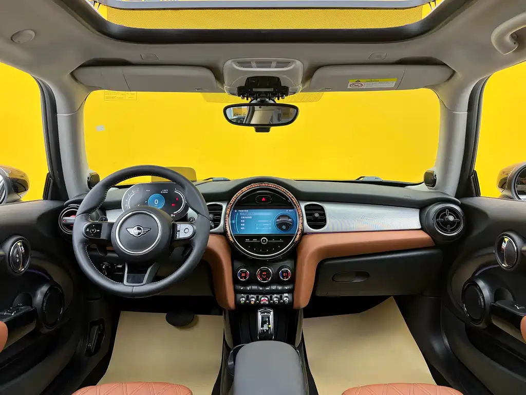 MINI 2022 2.0T COOPER S Artist Edition