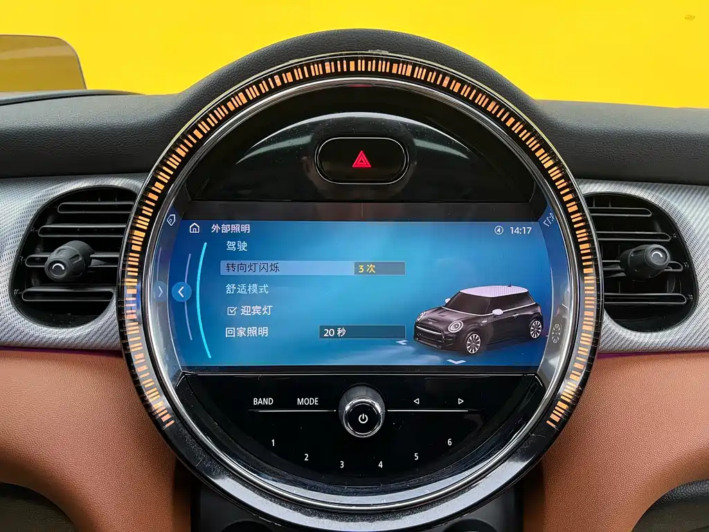 MINI 2022 2.0T COOPER S Artist Edition