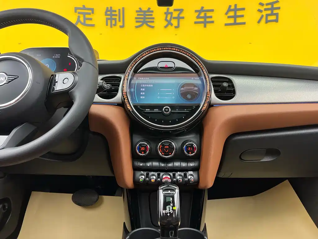 MINI 2022 2.0T COOPER S Artist Edition