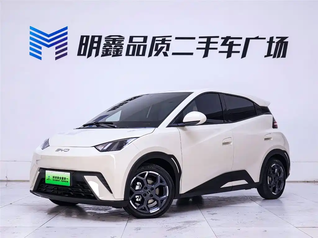 BYD Seagull 2025 305km Free Edition