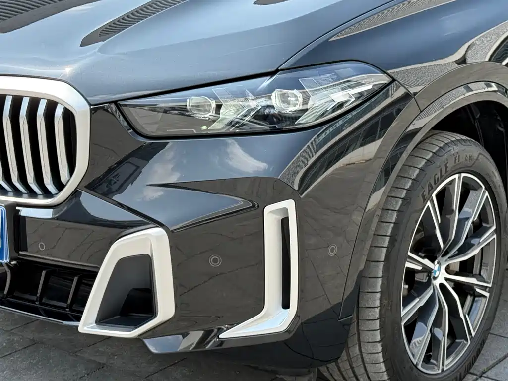 BMW X5 2023 xDrive 30Li M Sport Package