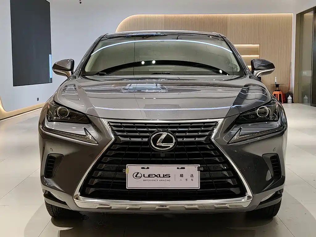 Lexus NX 2018 200 FWD Fengxing Edition China V