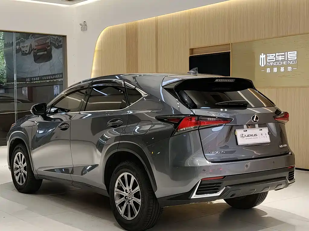 Lexus NX 2018 200 FWD Fengxing Edition China V
