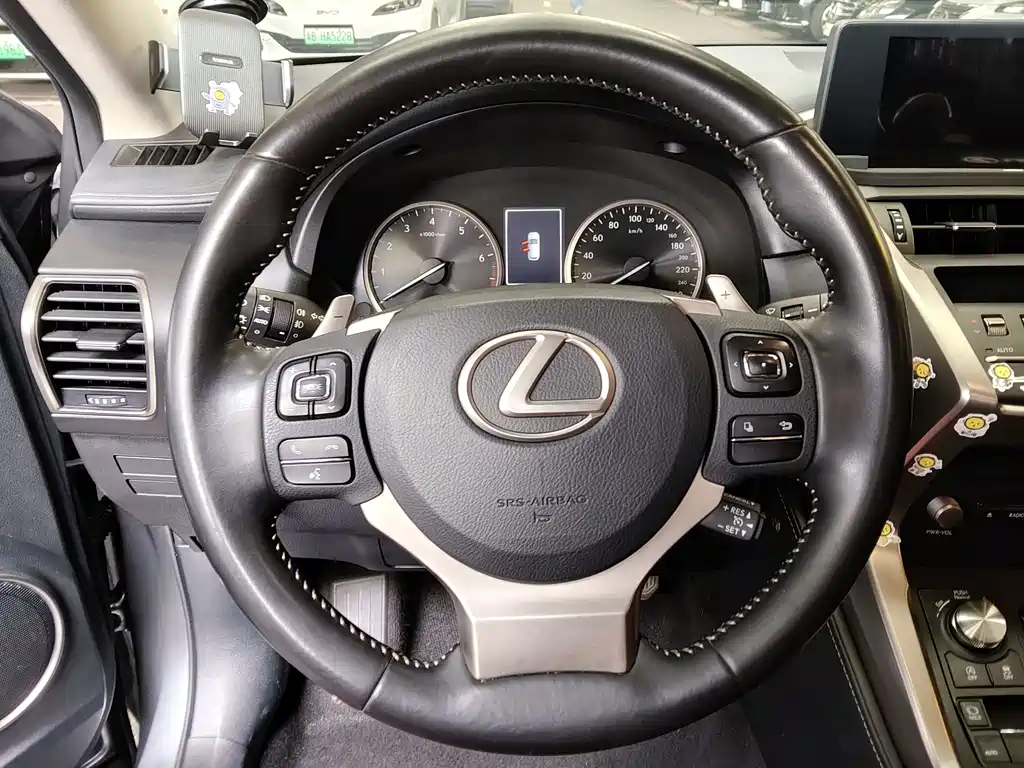 Lexus NX 2018 200 FWD Fengxing Edition China V