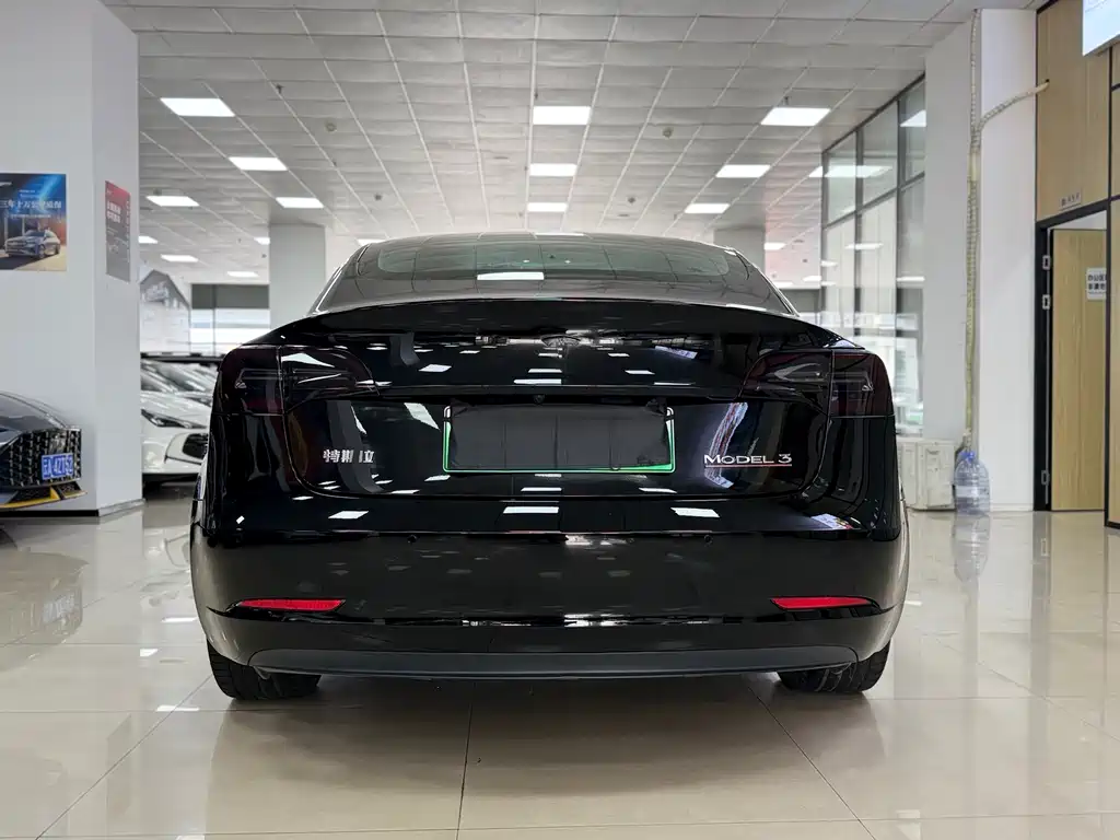 Tesla Model 3 2020 Standard Range Plus