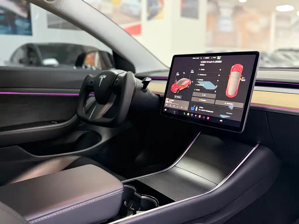 Tesla Model 3 2020 Standard Range Plus