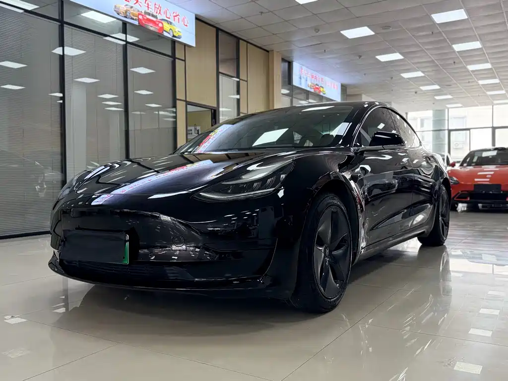 Tesla Model 3 2020 Standard Range Plus