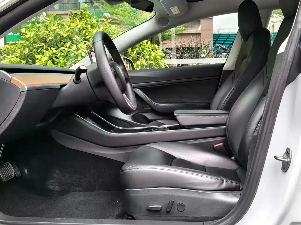Model 3 2019 Standard Range Plus RWD