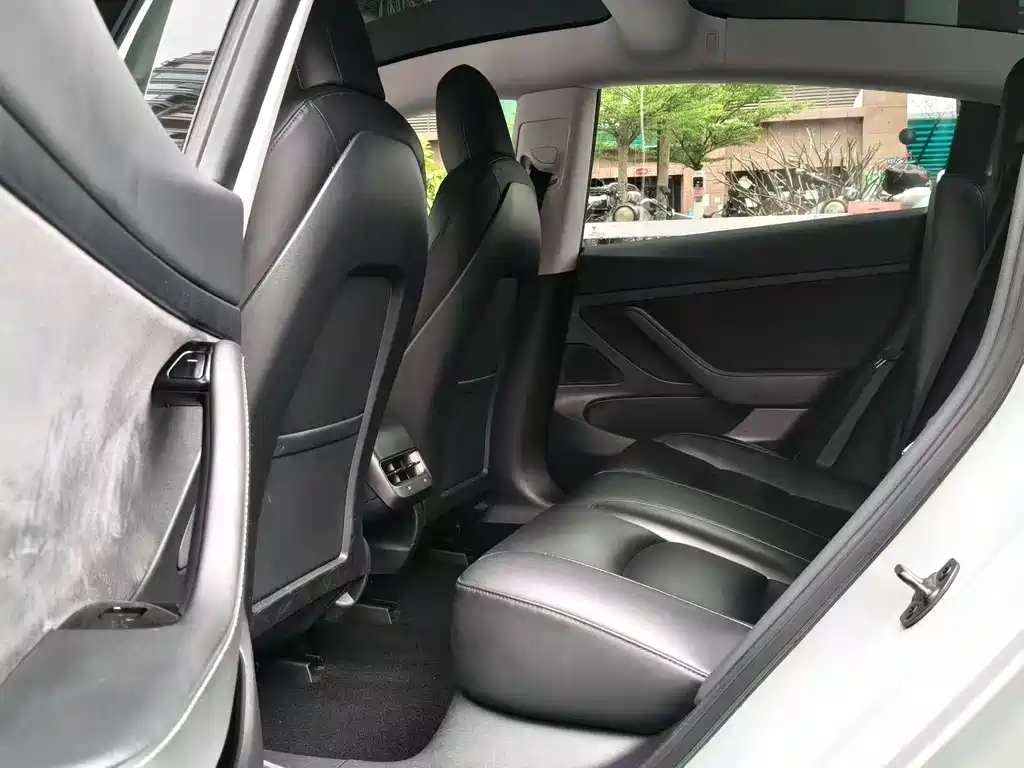 Model 3 2019 Standard Range Plus RWD