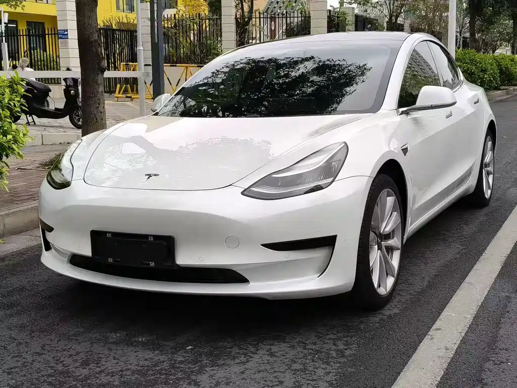 Model 3 2019 Standard Range Plus RWD