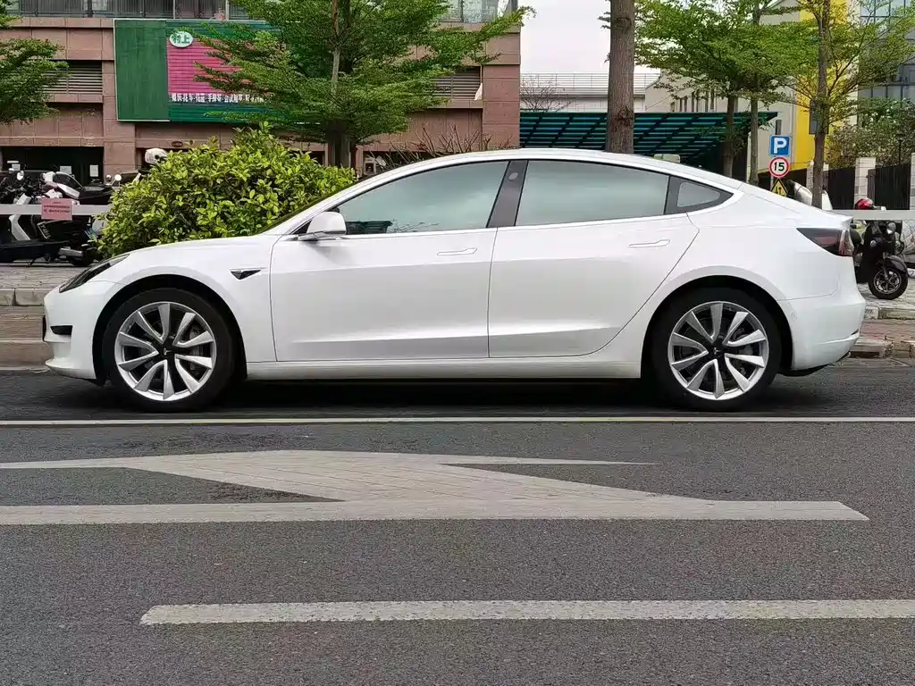 Model 3 2019 Standard Range Plus RWD