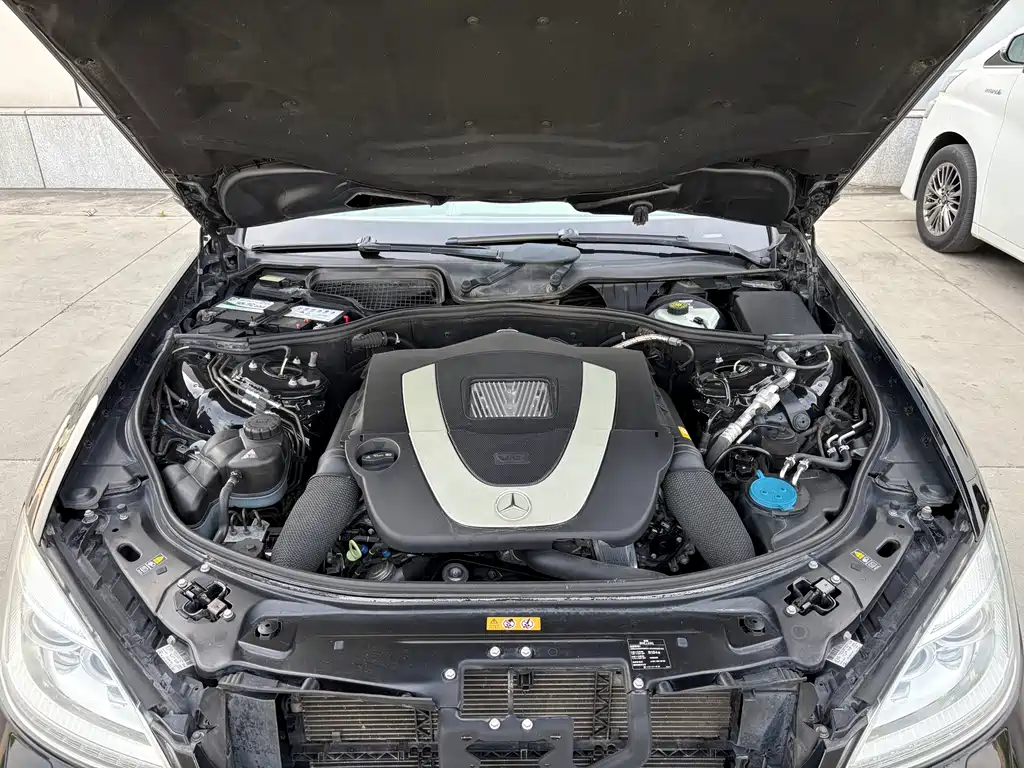 Mercedes-Benz S-Class 2010 S 300 L Luxury
