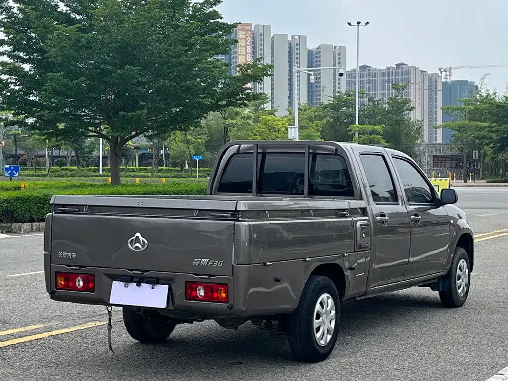 Changan Shenqi F30 2020 1.5L Elite Edition National VI Double Row Long Wheelbase DAM15KL