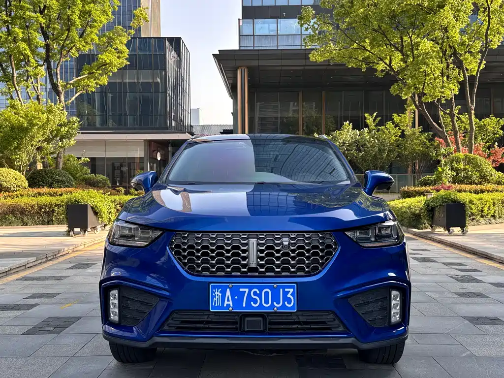 WEY VV5 2020 1.5T FWD Yan Xianfeng Edition