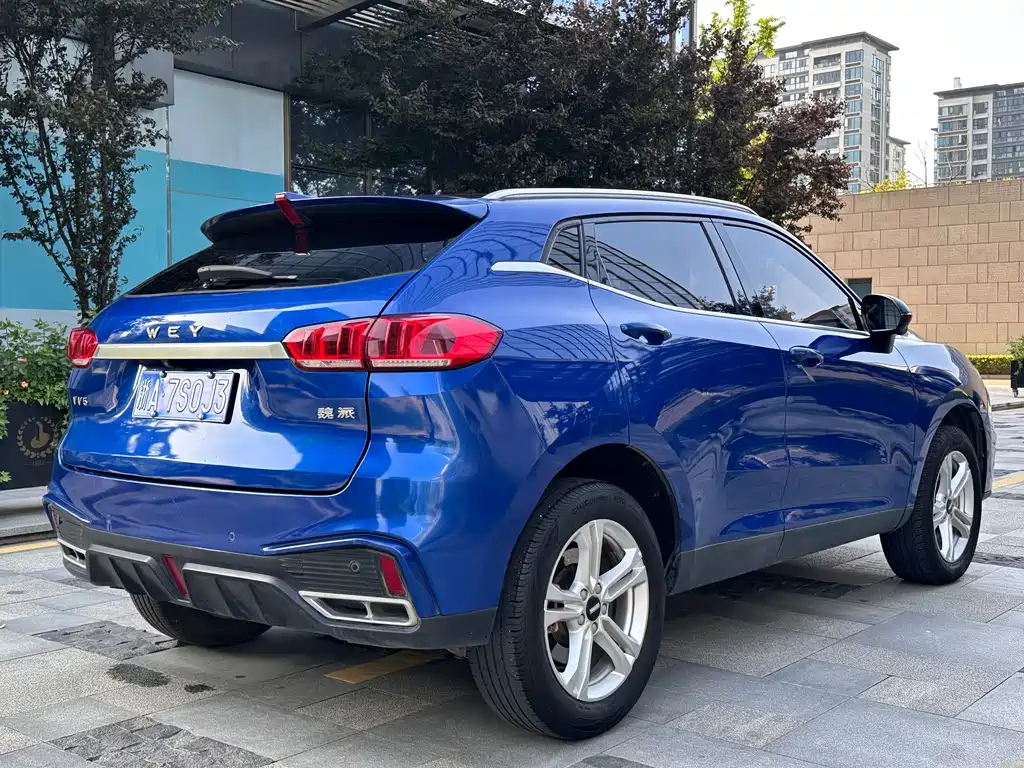 WEY VV5 2020 1.5T FWD Yan Xianfeng Edition