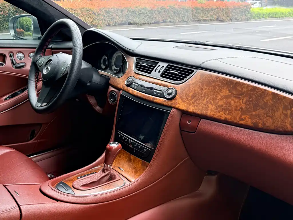 Mercedes-Benz CLS 2009 CLS 300