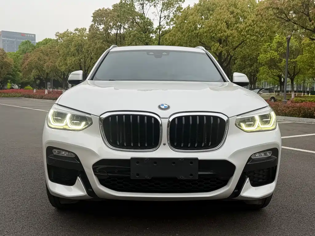 BMW X3 2018 xDrive30i Leading Edition M Sport Package China V