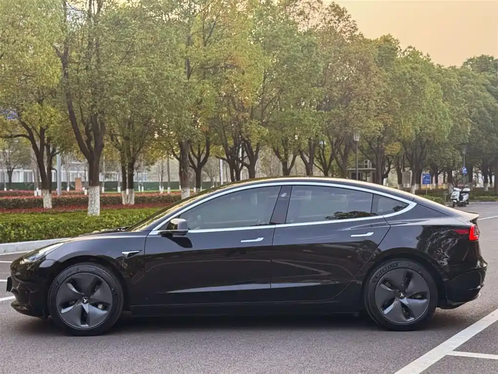 Model 3 Standard Range Plus RWD