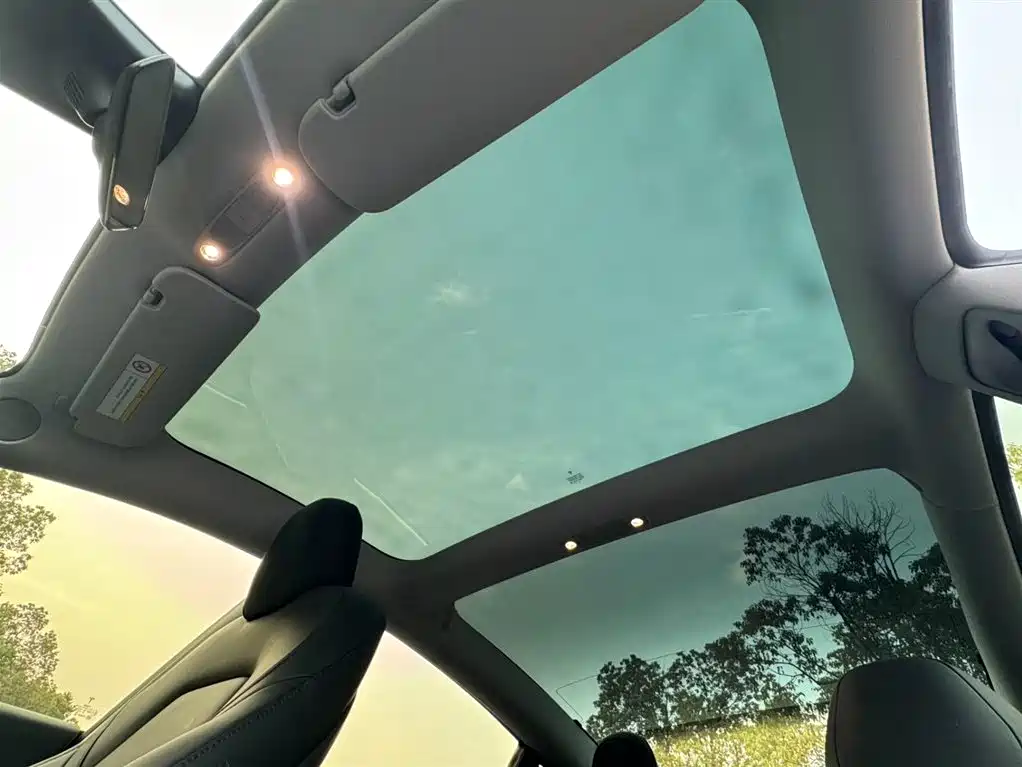 Model 3 Standard Range Plus RWD