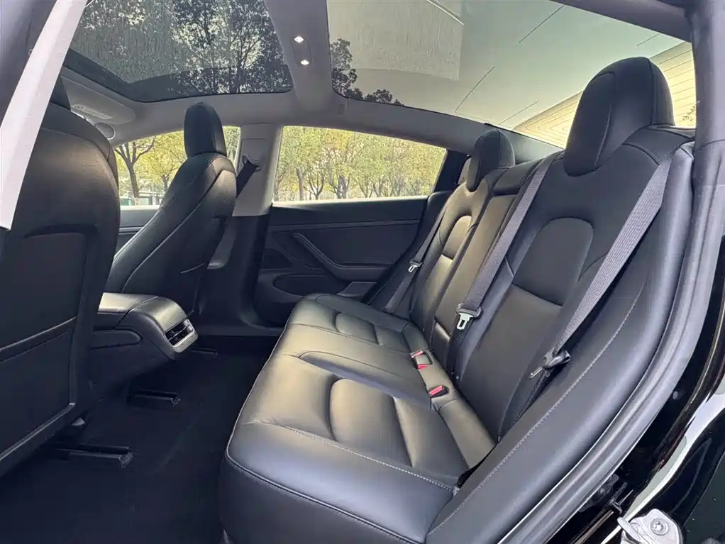 Model 3 Standard Range Plus RWD