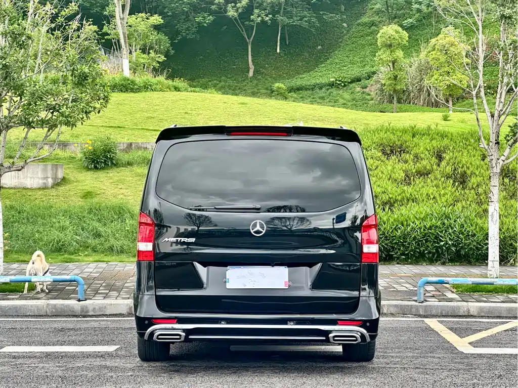 Vito 2018 2.0T Business Edition China V