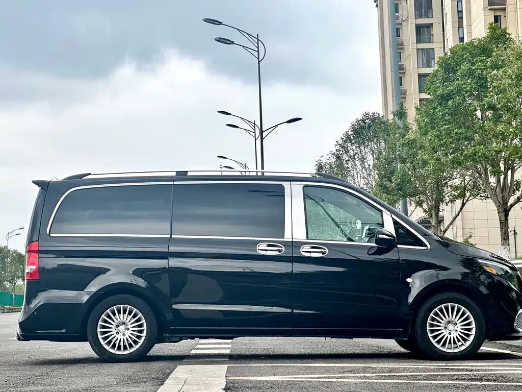 Vito 2018 2.0T Business Edition China V