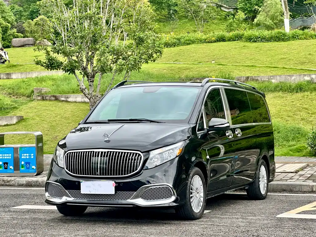 Vito 2018 2.0T Business Edition China V