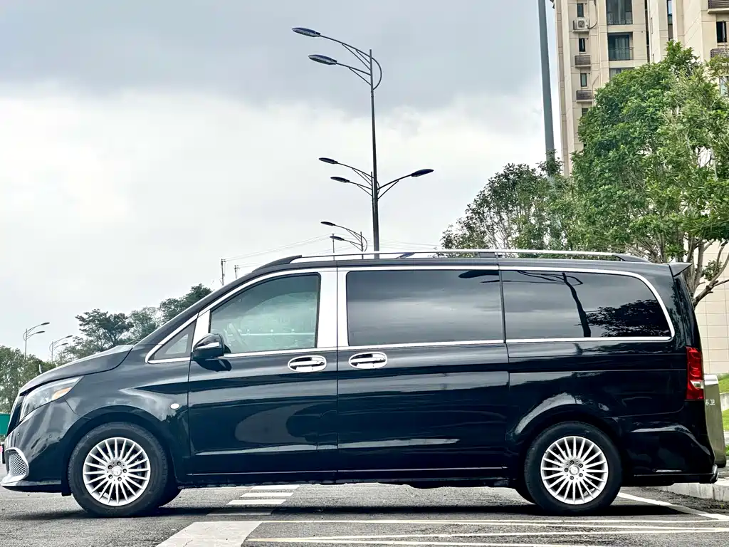 Vito 2018 2.0T Business Edition China V