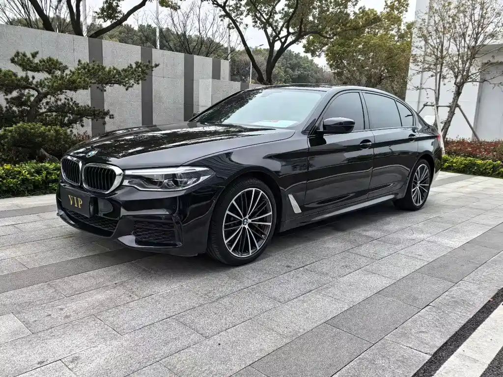 BMW 5 Series 2020 530Li Luxury M Sport Package