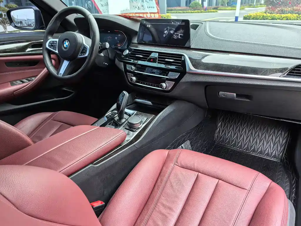 BMW 5 Series 2020 530Li Luxury M Sport Package