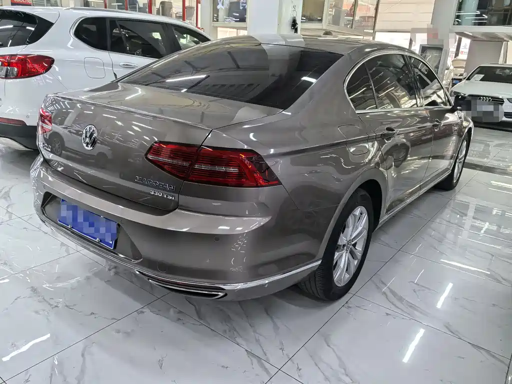 Magotan 2018 330TSI DSG Luxury