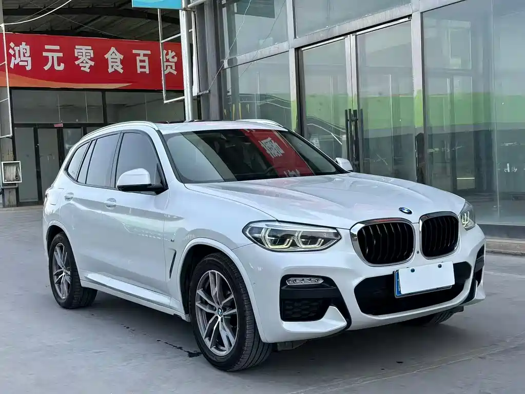 BMW X3 2018 xDrive30i Leading Edition M Sport Package China V