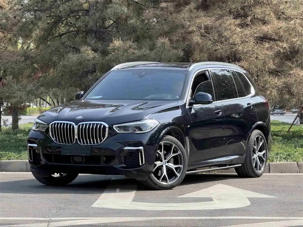 BMW X5 2022 Facelift xDrive 40Li M Sport Package