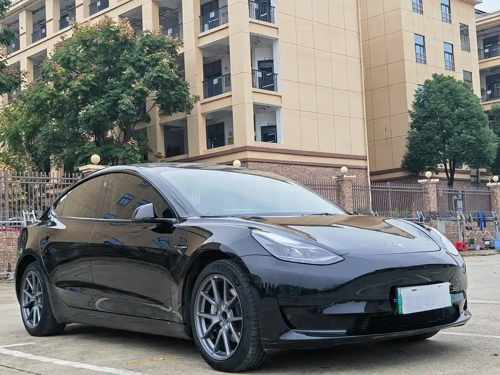 Tesla Model 3 2022 Rear-Wheel Drive