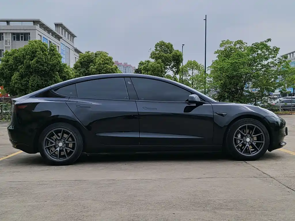 Tesla Model 3 2022 Rear-Wheel Drive