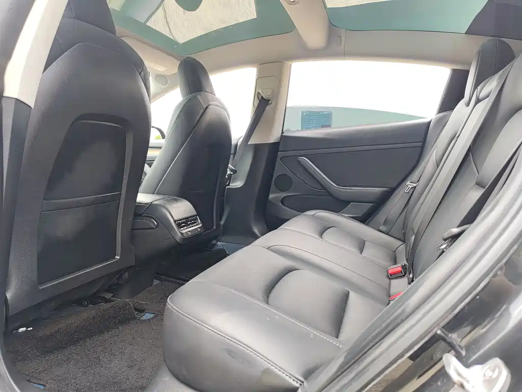 Tesla Model 3 2022 Rear-Wheel Drive