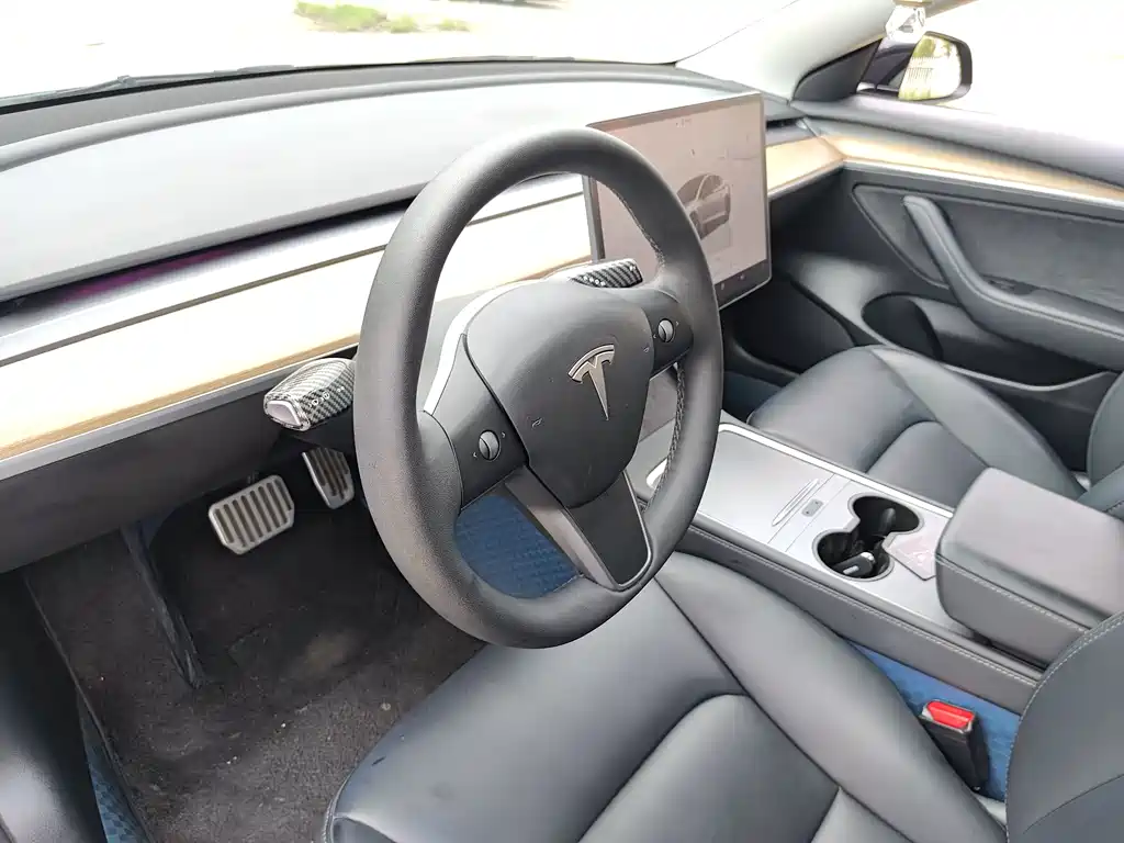 Tesla Model 3 2022 Rear-Wheel Drive