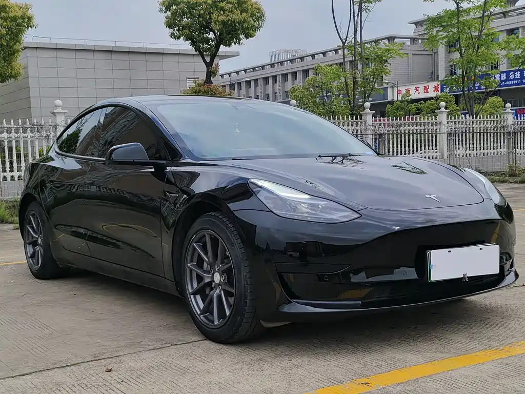 Tesla Model 3 2022 Rear-Wheel Drive