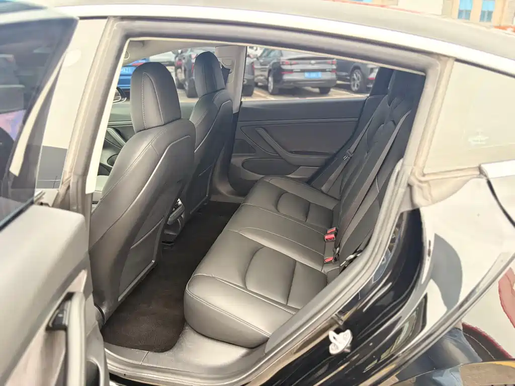 Tesla Model 3 2021 Standard Range Plus RWD