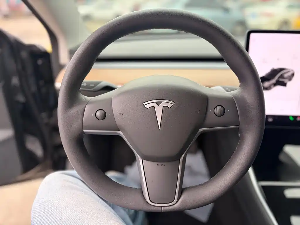 Tesla Model 3 2021 Standard Range Plus RWD