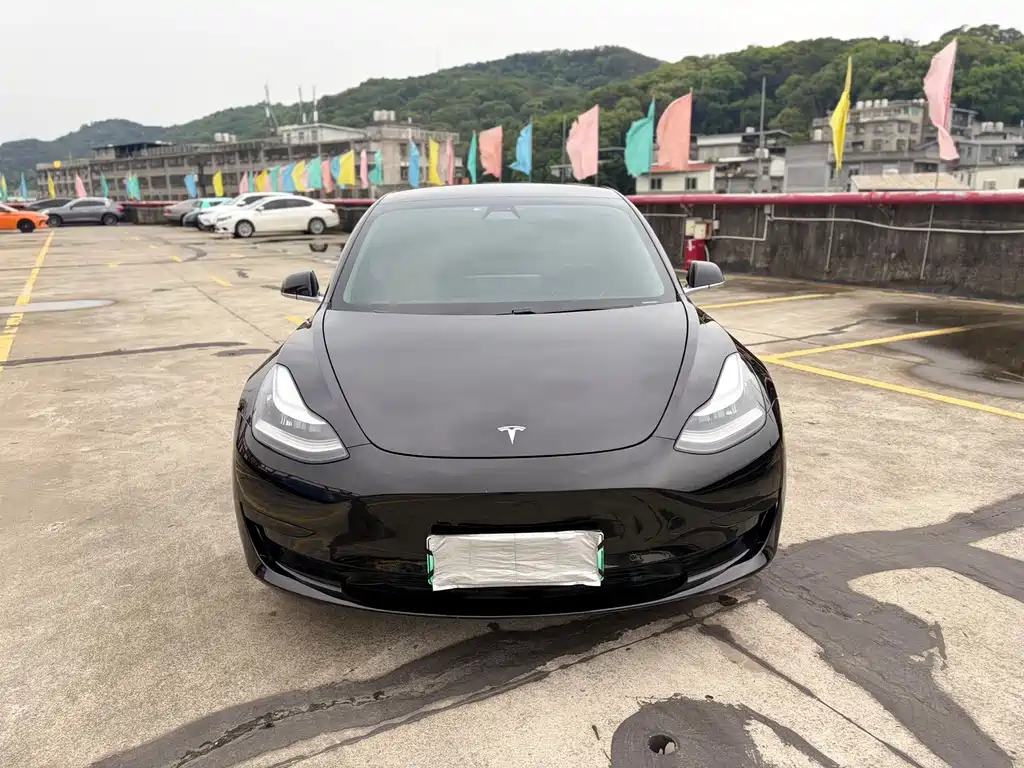 Tesla Model 3 2021 Standard Range Plus RWD