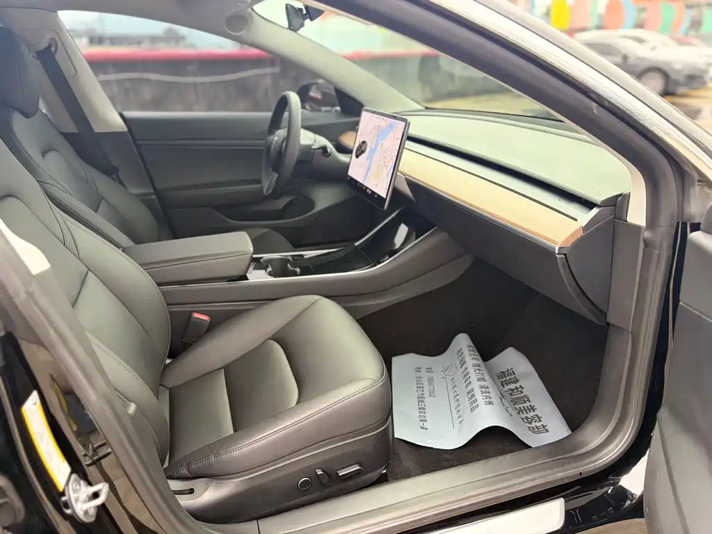 Tesla Model 3 2021 Standard Range Plus RWD