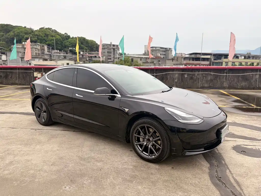 Tesla Model 3 2021 Standard Range Plus RWD