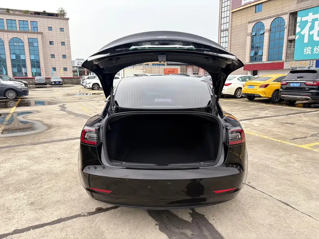 Tesla Model 3 2021 Standard Range Plus RWD