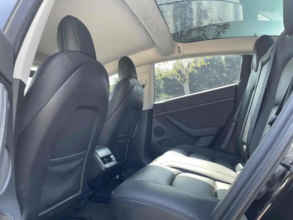 Tesla Model 3 2021 Standard Range Plus RWD