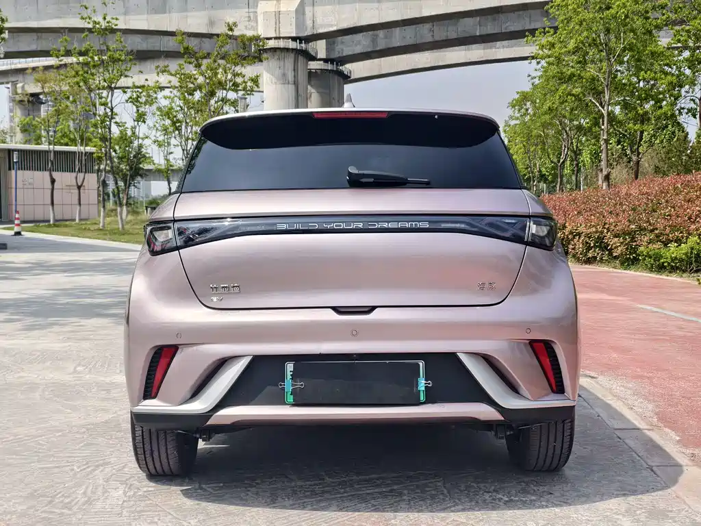 BYD Dolphin 2025 420km Fashion Edition