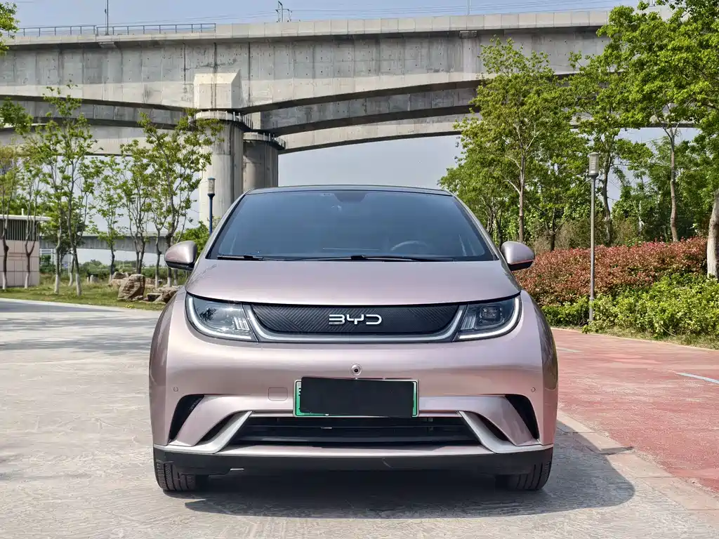 BYD Dolphin 2025 420km Fashion Edition