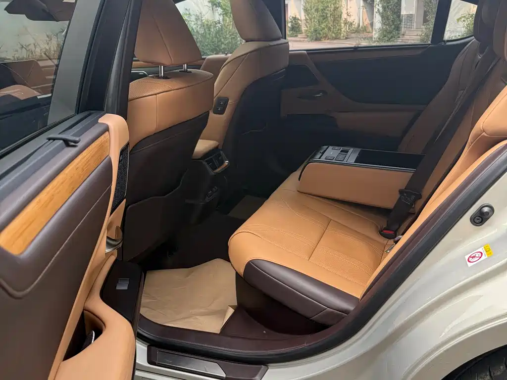Lexus ES 2018 300h Executive Edition China V