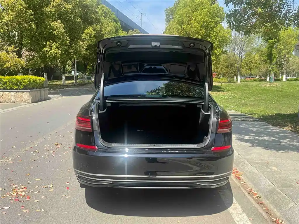 Volkswagen Passat 2022 330TSI Starry Sky Luxury Edition